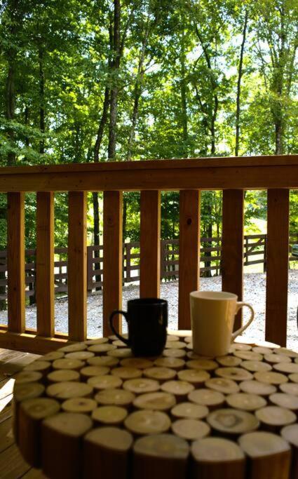 Willa Sugar Bear Cabin With Boat Parking 5 Mins To State Park & Golf Burkesville Zewnętrze zdjęcie